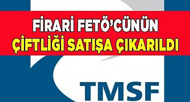 Firari FETÖ’cünün çiftliği satışa çıkarıldı