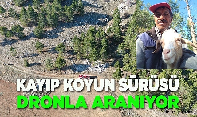 Kayıp koyun sürüsü dronla aranıyor