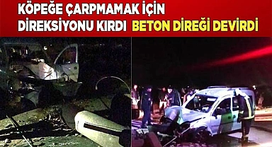 Köpeğe çarpmamak için direksiyonu kırdı  beton direği devirdi
