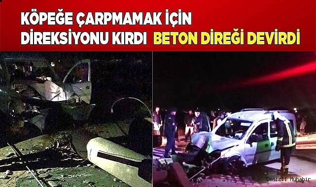 Köpeğe çarpmamak için direksiyonu kırdı  beton direği devirdi