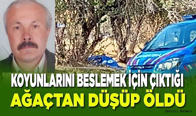 Koyunlarını beslemek için çıktığı ağaçtan düşüp öldü