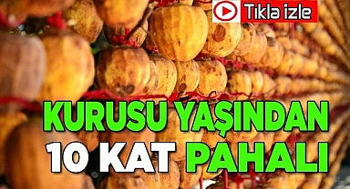 Kurusu yaşından 10 kat daha pahalı