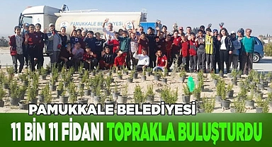 PAMUKKALE BELEDİYESİ 11 BİN 11 FİDANI TOPRAKLA BULUŞTURDU
