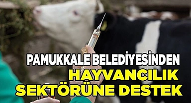 PAMUKKALE BELEDİYESİNDEN HAYVANCILIK SEKTÖRÜNE DESTEK
