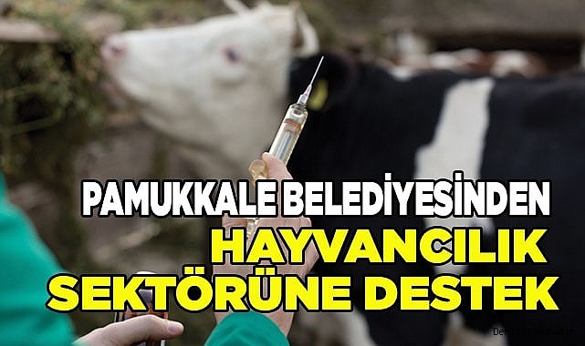 PAMUKKALE BELEDİYESİNDEN HAYVANCILIK SEKTÖRÜNE DESTEK