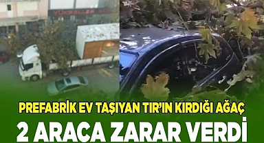 Prefabrik ev taşıyan tırın kırdığı ağaç 2 araca zarar verdi
