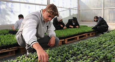 Sarayköylü öğrencilerin ürettiği çiçekler, pazarı süsleyecek