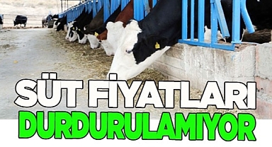Süt fiyatları durdurulamıyor