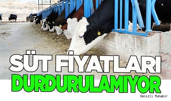 Süt fiyatları durdurulamıyor