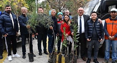 2 bin fidan toprakla buluşacak