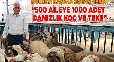 “500 aileye daha 1000 adet damızlık koç ve teke“