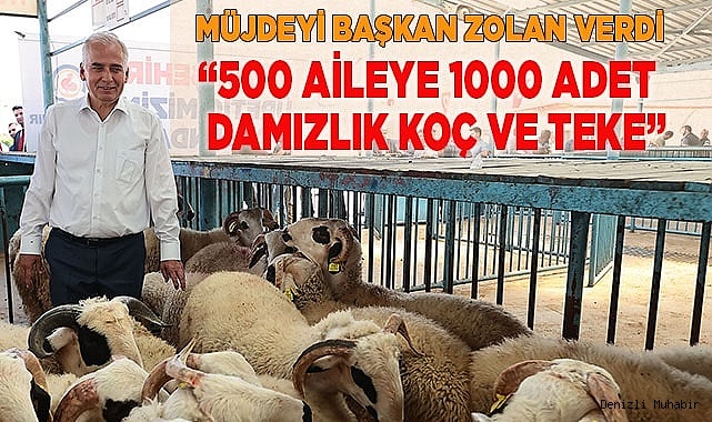 “500 aileye daha 1000 adet damızlık koç ve teke“