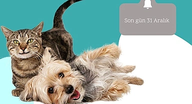 Ev hayvanlarına kimlik çıkartmayana, 3 bin 642 TL ceza