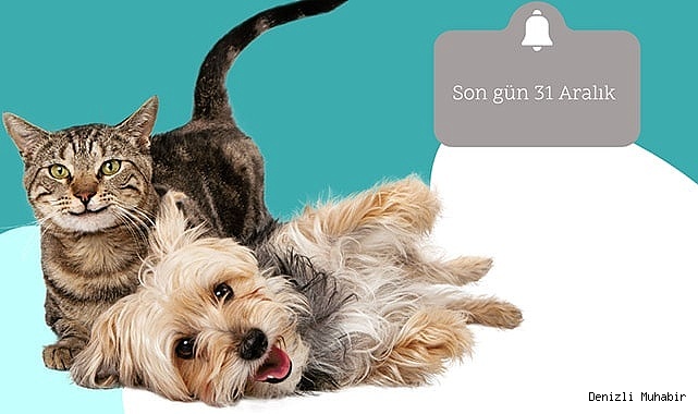 Ev hayvanlarına kimlik çıkartmayana, 3 bin 642 TL ceza