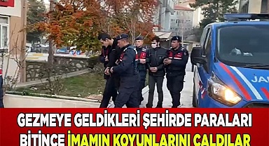 Gezmeye geldikleri şehirde paraları bitince imamın koyunlarını çaldılar