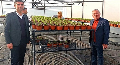 Honaz Belediyesi kendi çiçeğini kendisi üretiyor