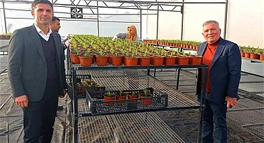 Honaz Belediyesi kendi çiçeğini kendisi üretiyor
