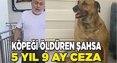Köpeği tüfekle vuran yaşlı adama 5 yıl 9 ay hapis cezası