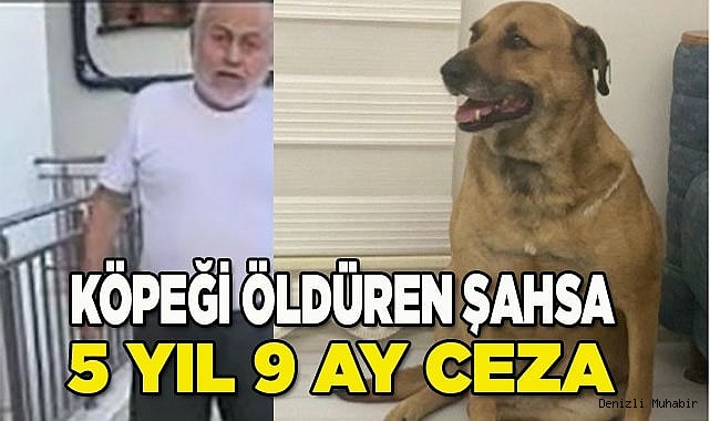 Köpeği tüfekle vuran yaşlı adama 5 yıl 9 ay hapis cezası
