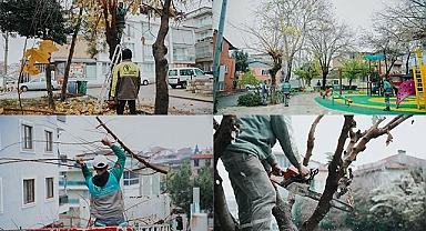 MERKEZEFENDİ’DE BUDAMA ÇALIŞMALARI DEVAM EDİYOR