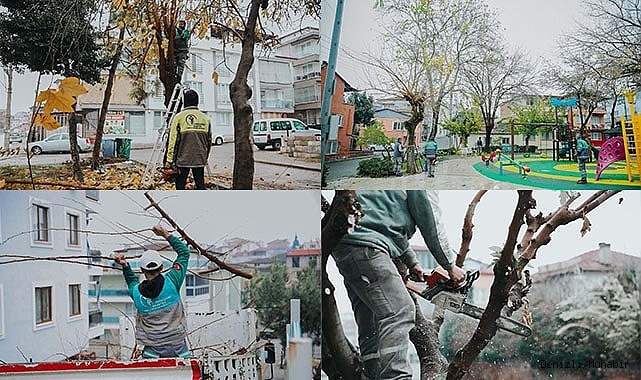 MERKEZEFENDİ’DE BUDAMA ÇALIŞMALARI DEVAM EDİYOR