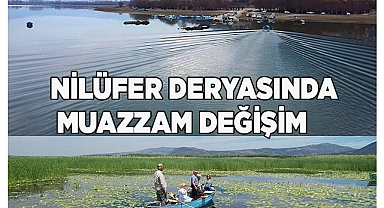 Nilüfer deryasında muazzam değişim