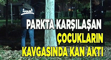 Parkta karşılaşan çocukların kavgasında kan aktı