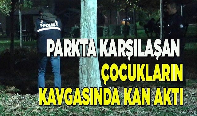 Parkta karşılaşan çocukların kavgasında kan aktı