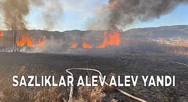 Sazlıklar alev alev yandı
