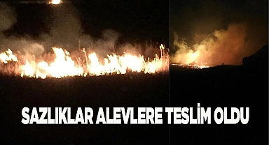Sazlıklar alevlere teslim oldu