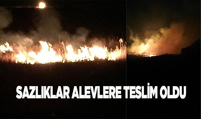 Sazlıklar alevlere teslim oldu