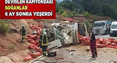 Soğanlar, 6 ay sonra yeşerdi