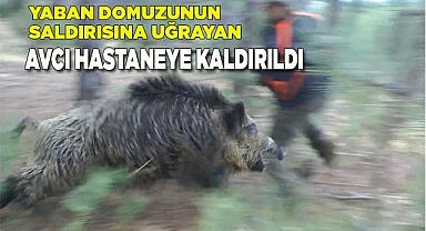 Yaban domuzunun saldırısına uğrayan avcı hastaneye kaldırıldı