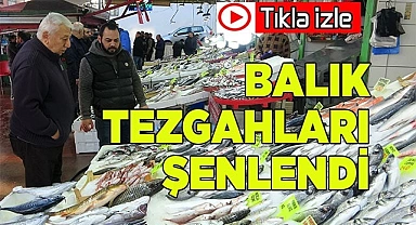 Balık tezgahları çinekop ile şenlendi