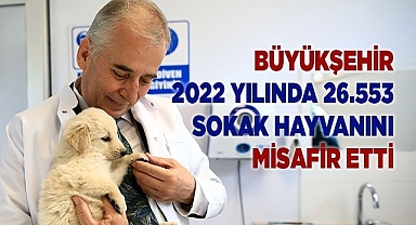 Büyükşehir 2022 yılında 26.553 sokak hayvanını misafir etti