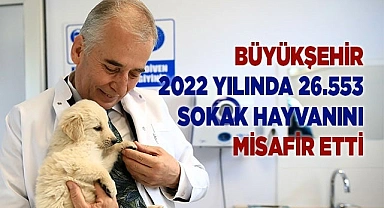 Büyükşehir 2022 yılında 26.553 sokak hayvanını misafir etti