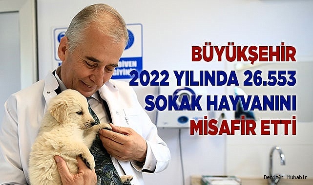 Büyükşehir 2022 yılında 26.553 sokak hayvanını misafir etti