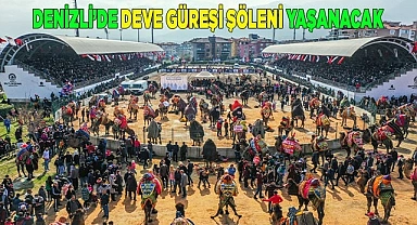 Denizli’de deve güreşi şöleni