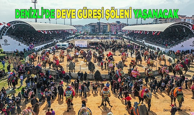 Denizli’de deve güreşi şöleni