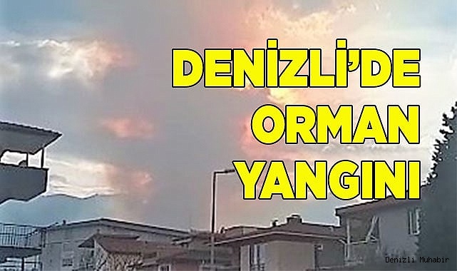 Denizli’de orman yangını