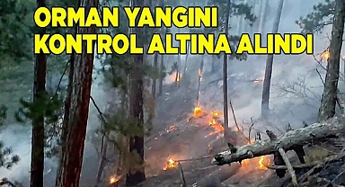 Denizli'deki orman yangını kontrol altına alındı
