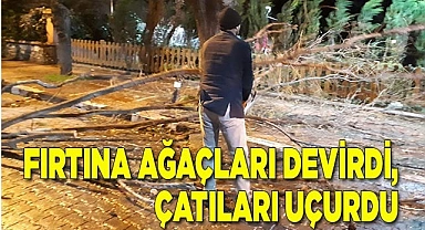 Fırtına ağaçları devirdi, çatıları uçurdu