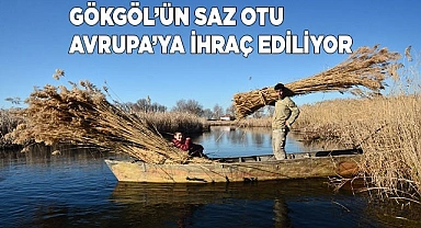 Gökgöl’ün saz otu, Avrupa yolcusu