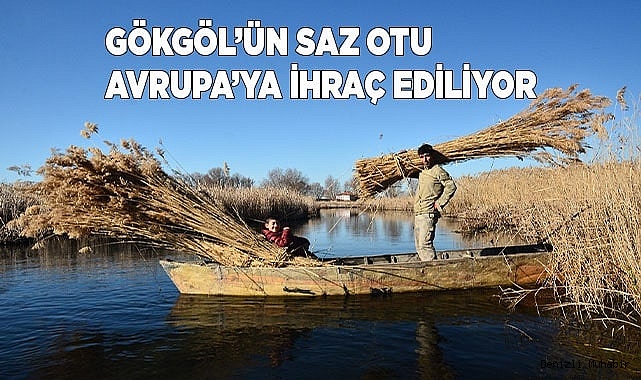 Gökgöl’ün saz otu, Avrupa yolcusu