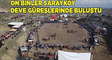 On binler Sarayköy deve güreşlerinde buluştu