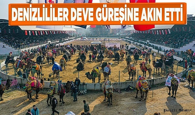 Onbinler deve güreşi heyecanını hep birlikte yaşadı