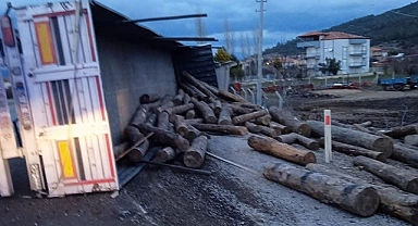 Tomruk yüklü tır devrildi