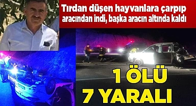 Trafik kazası: 1 ölü, 7 yaralı