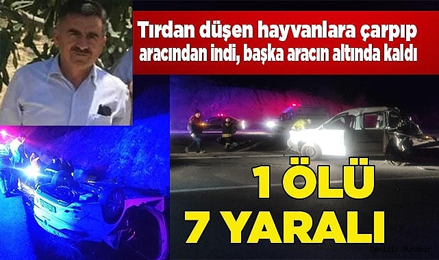 Trafik kazası: 1 ölü, 7 yaralı
