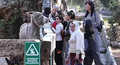 127 türde hayvana ev sahipliğini yapan yaşam parkına yoğun ilgi